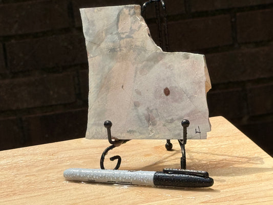 Cherry Creek Jasper Slab