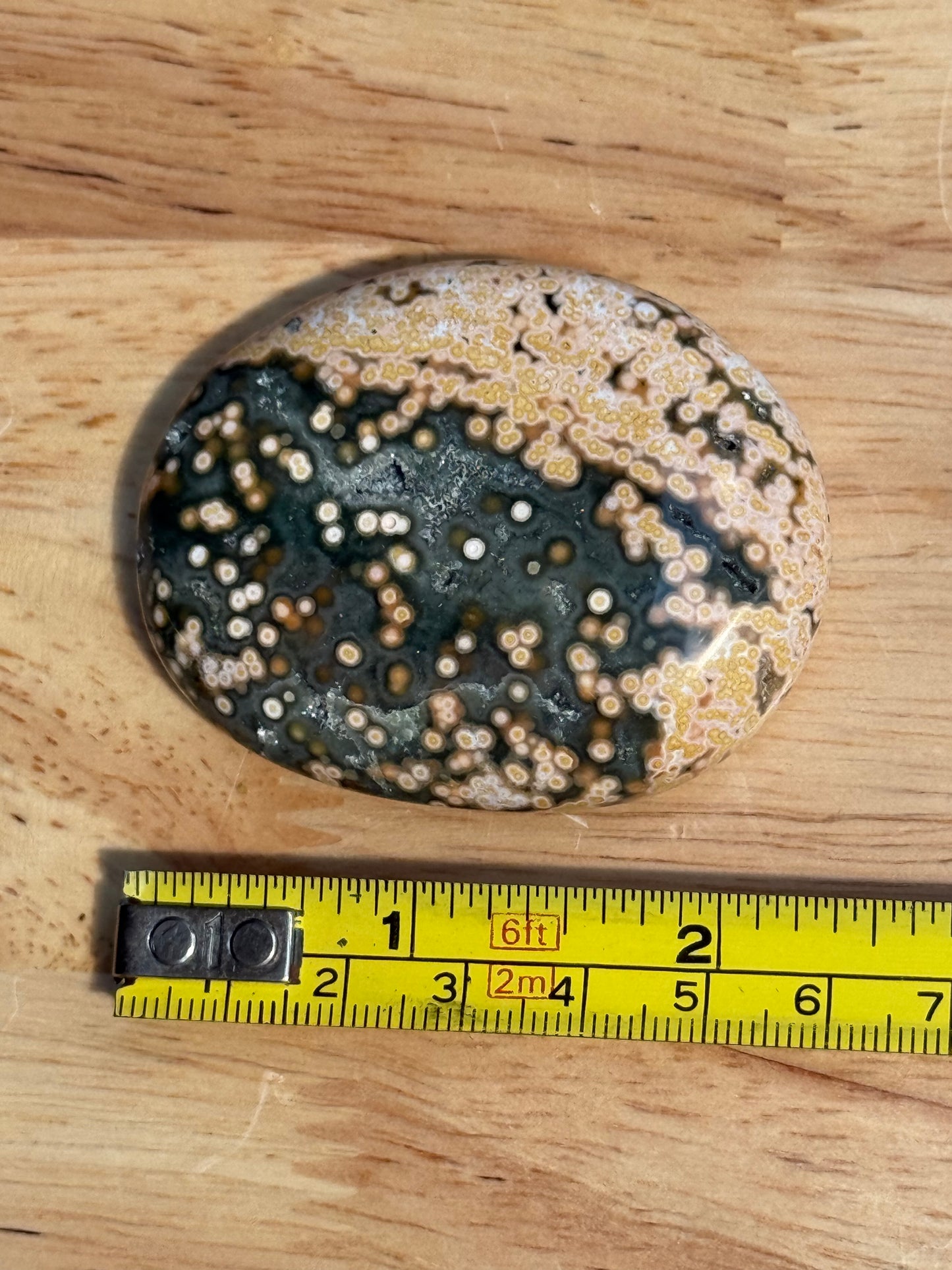 Ocean Jasper Palmstone - Small