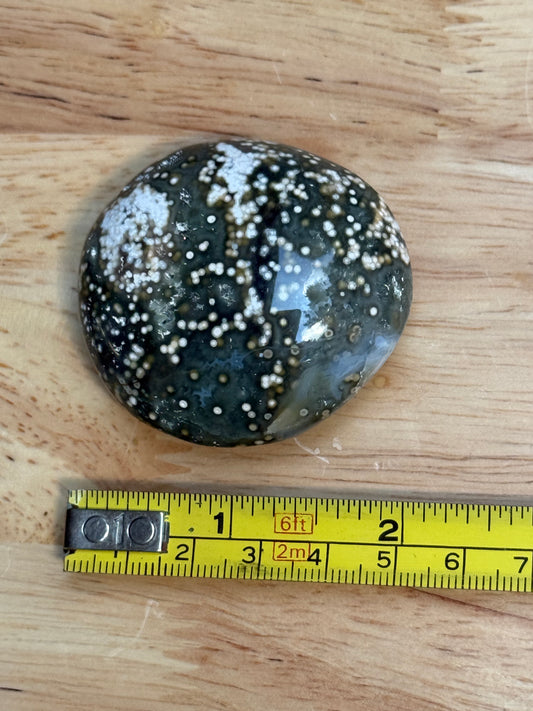 Ocean Jasper Palmstone - Small