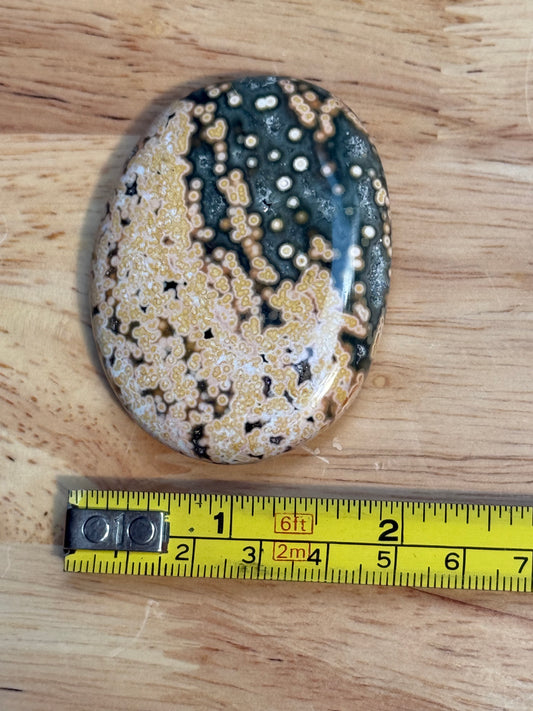 Ocean Jasper Palmstone - Small