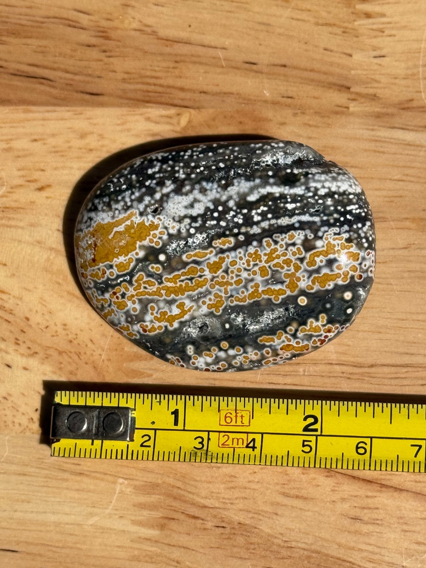 Ocean Jasper Palmstone - Small