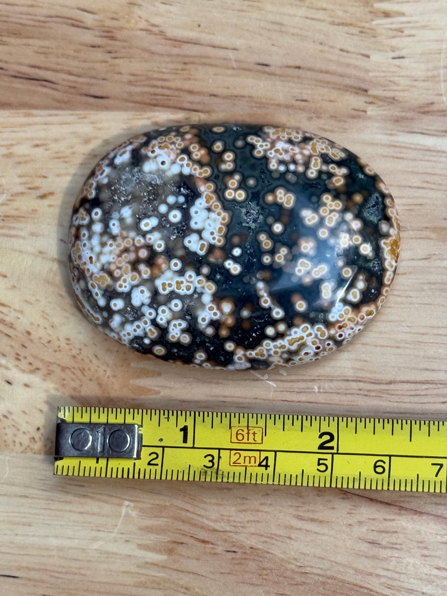 Ocean Jasper Palmstone - Small