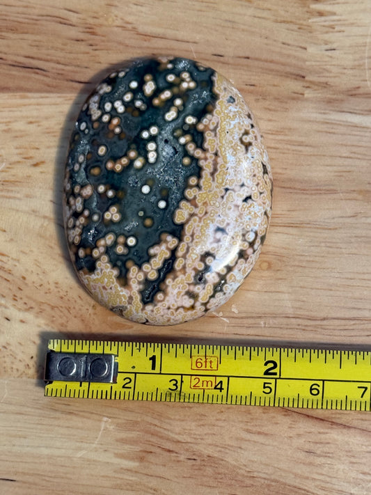 Ocean Jasper Palmstone - Small