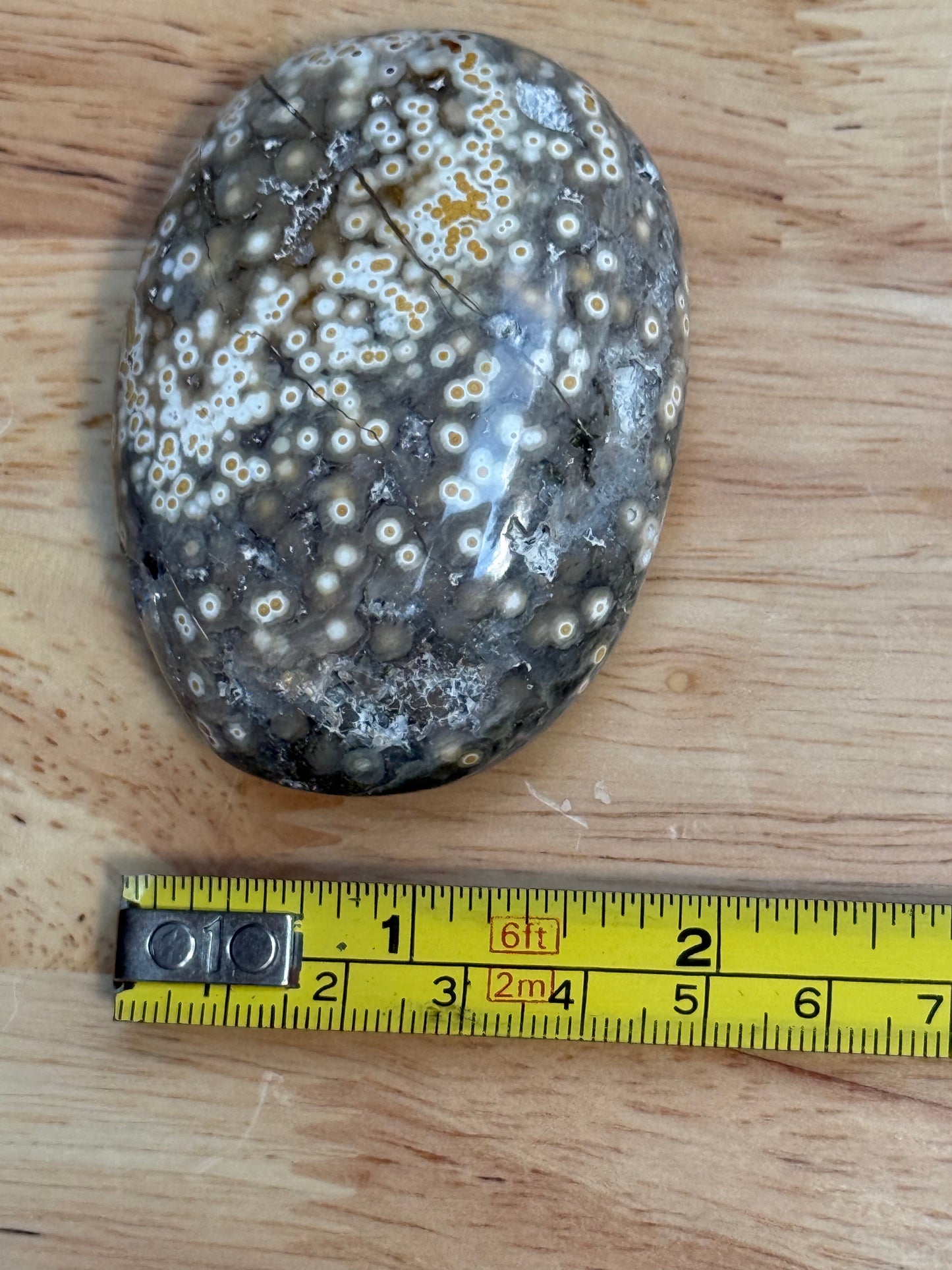 Ocean Jasper Palmstone - Medium