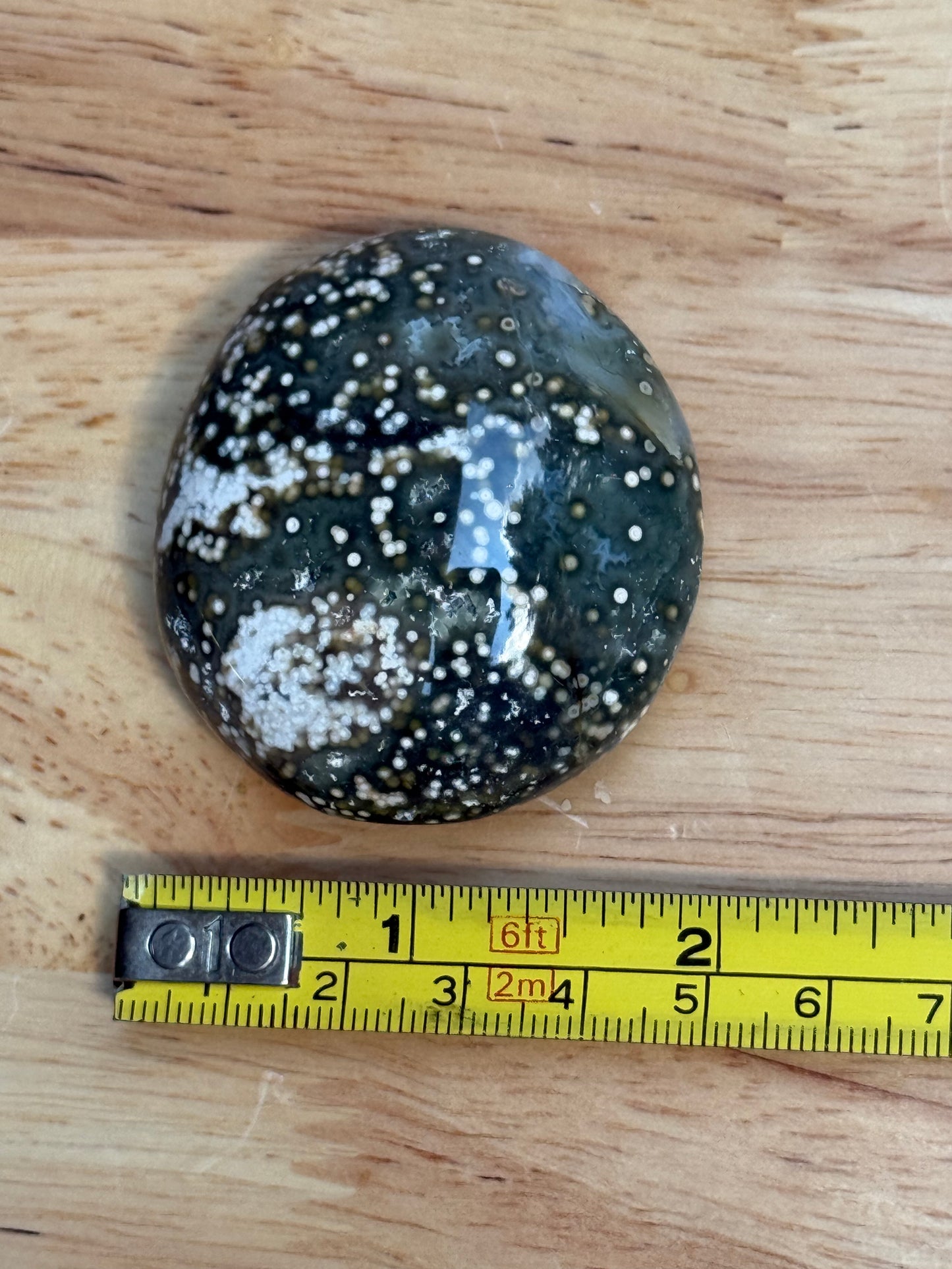 Ocean Jasper Palmstone - Small