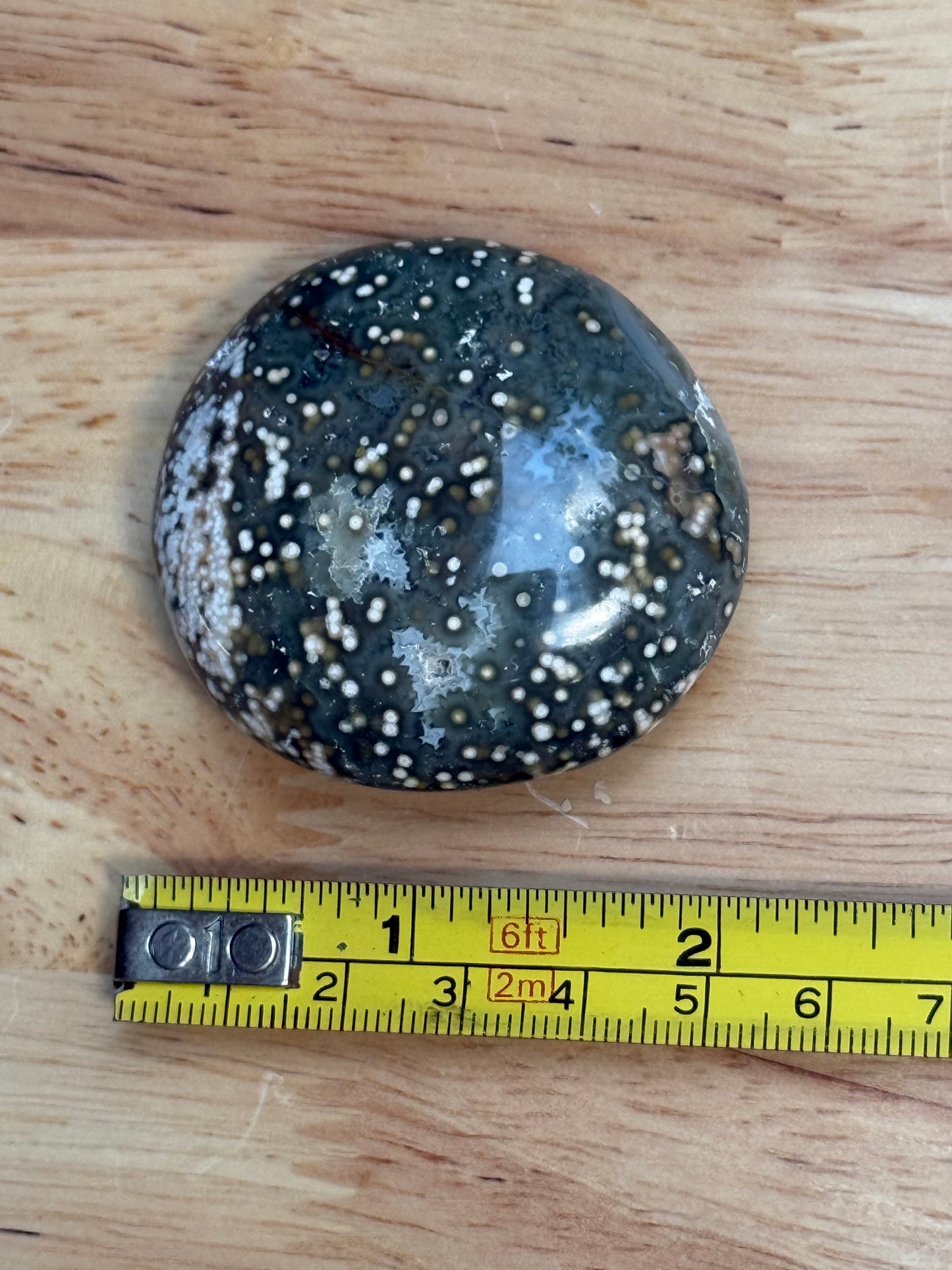 Ocean Jasper Palmstone - Small
