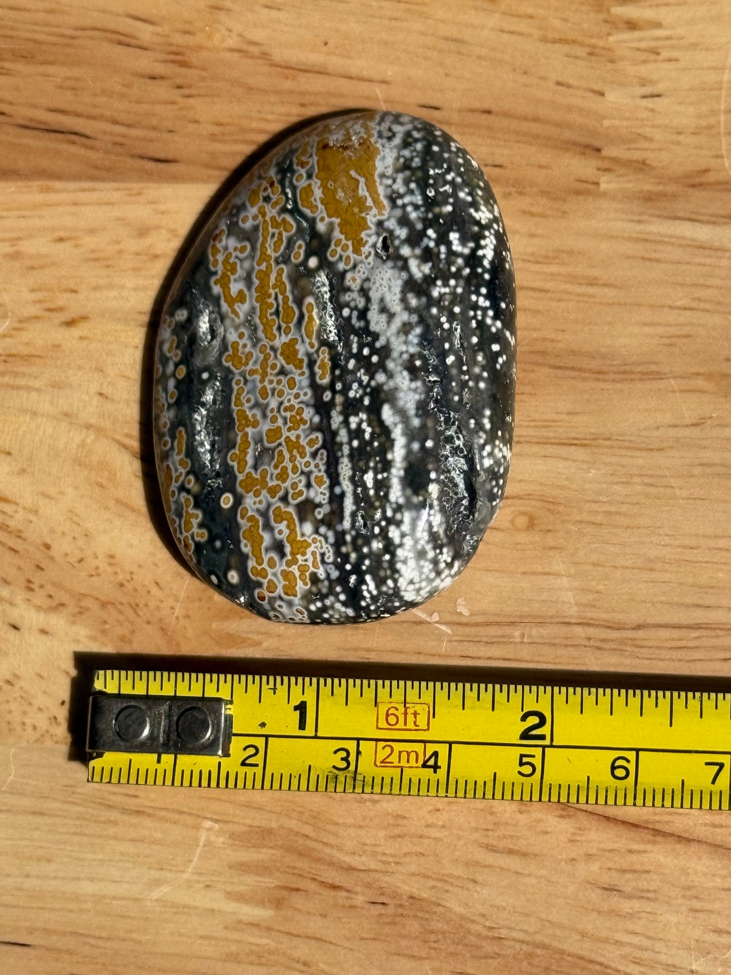 Ocean Jasper Palmstone - Small