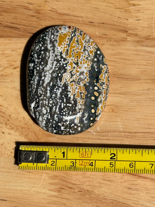 Ocean Jasper Palmstone - Small