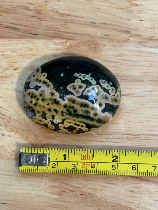 Ocean Jasper Palmstone - Small