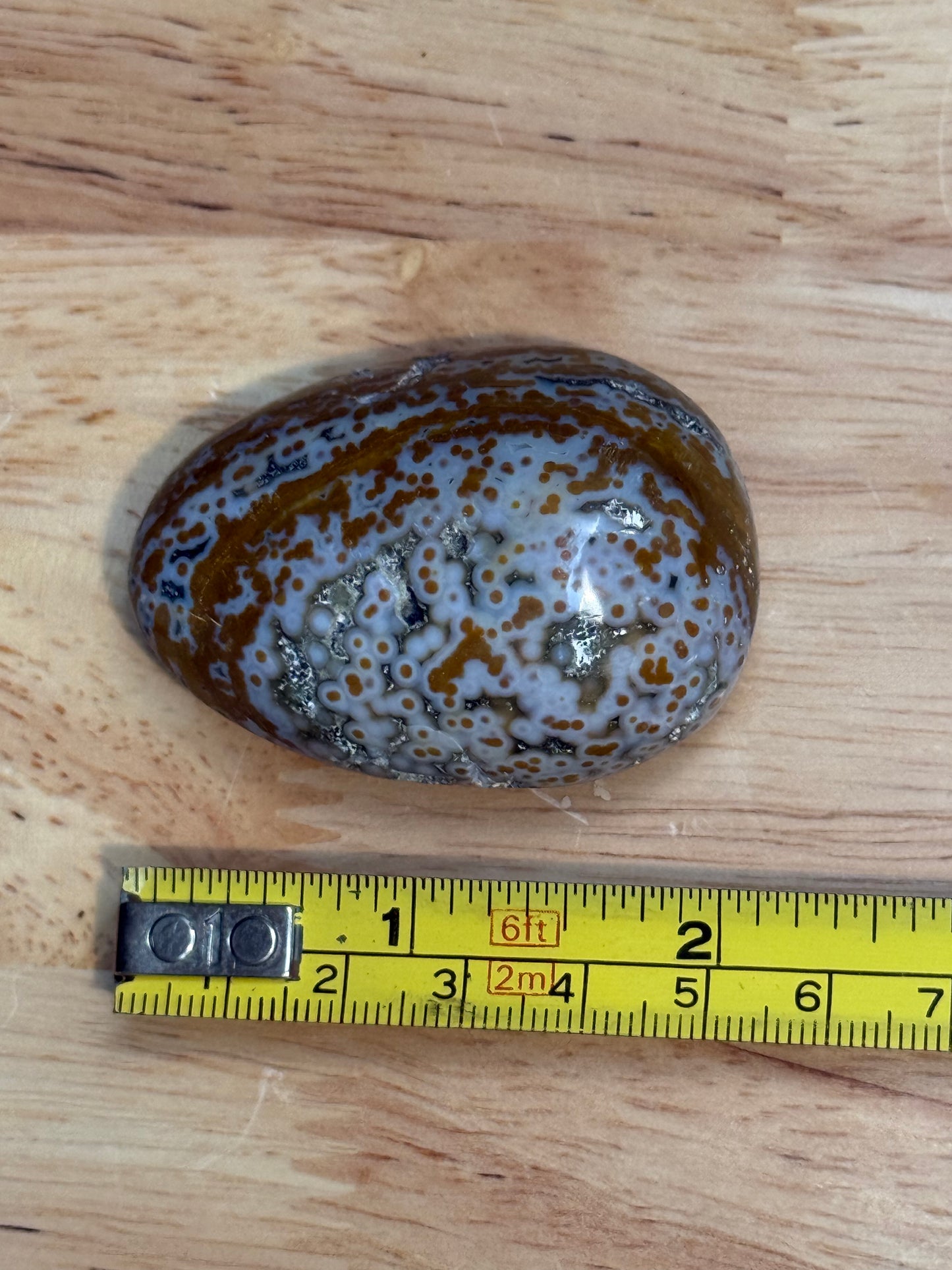 Ocean Jasper Palmstone - Small