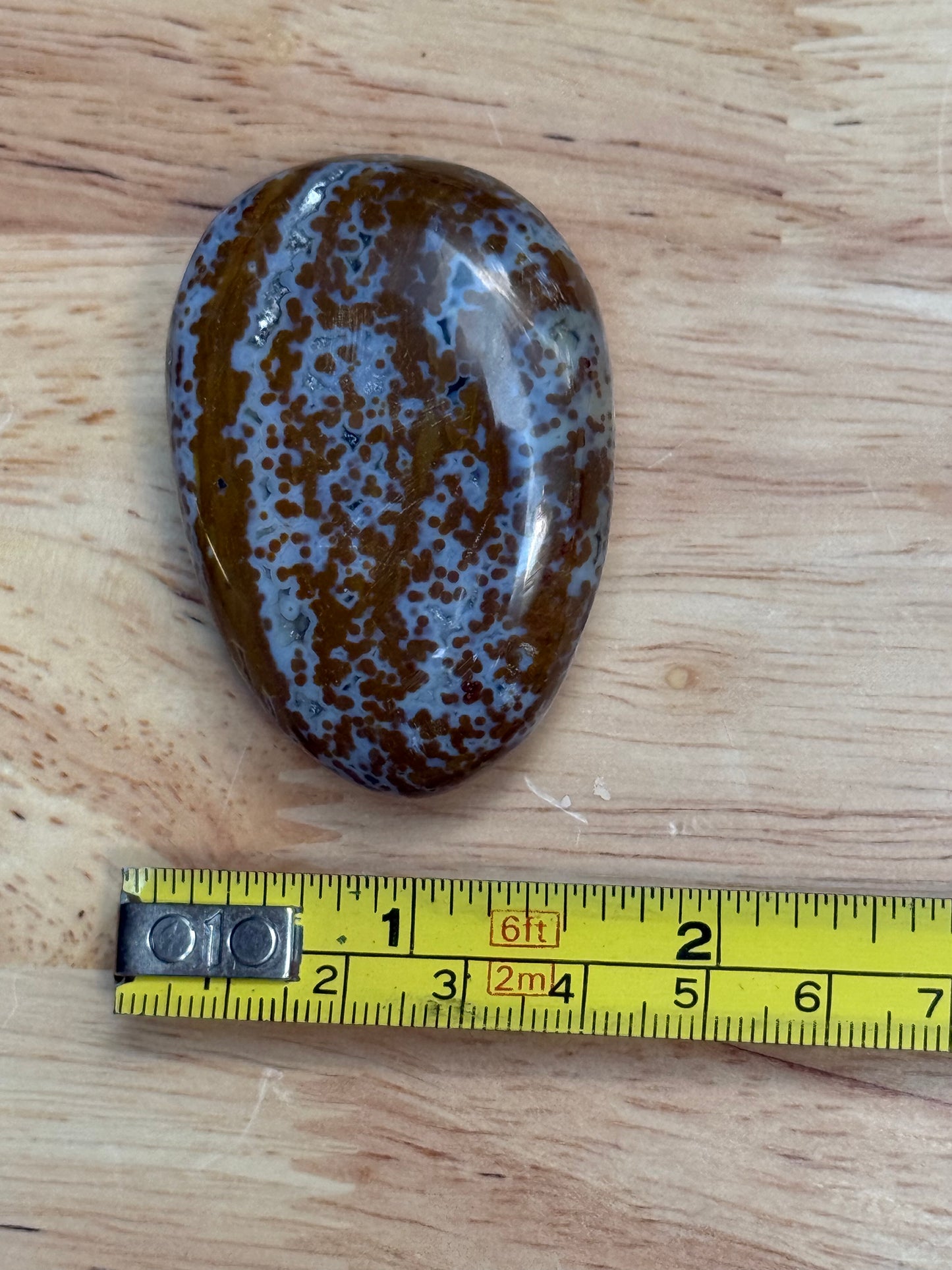 Ocean Jasper Palmstone - Small